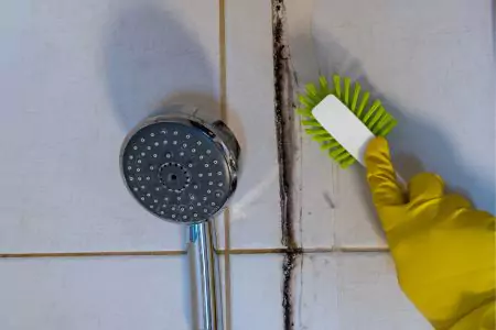 Bathroom Mold <br/>Removal