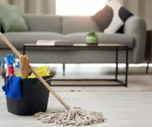 Deep<br/> Cleaning