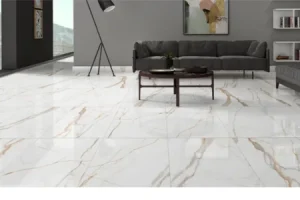 Floor<br/>Cleaning