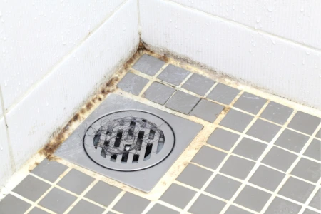 Bathroom Mold<br/> Removal